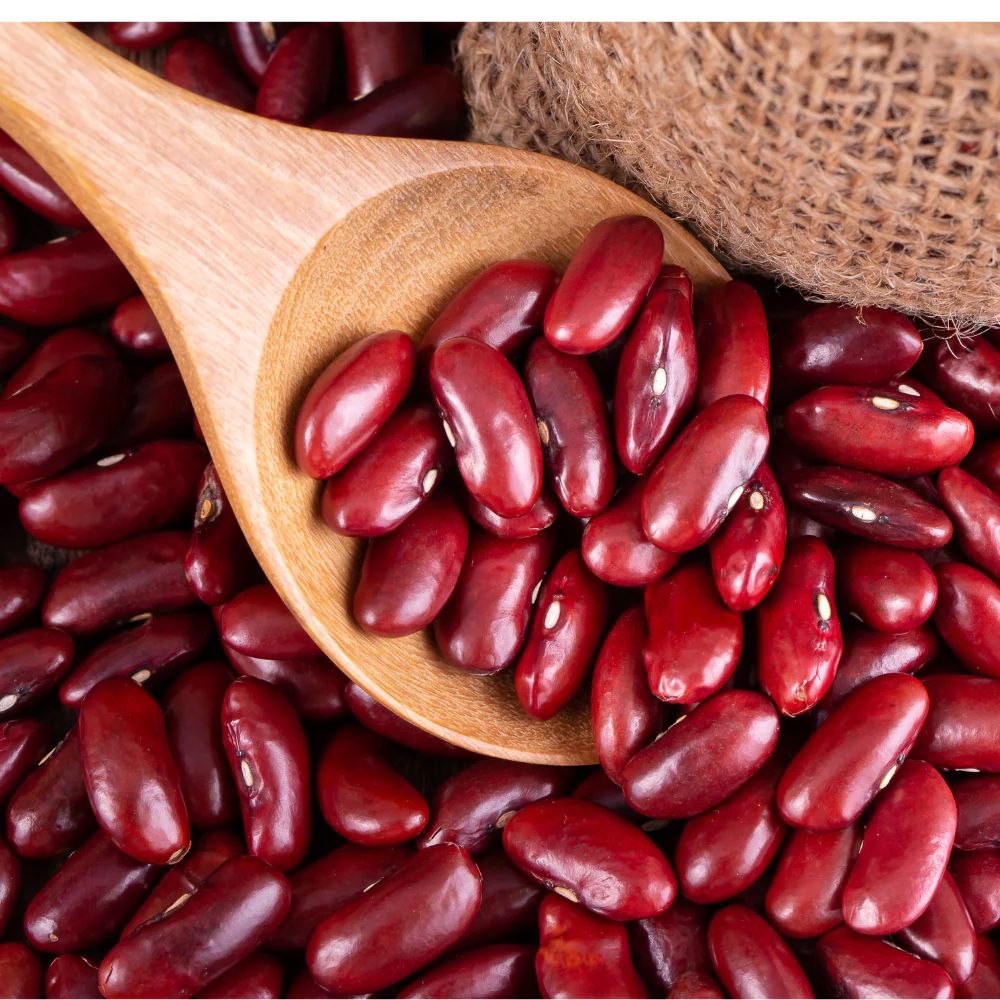 7 Benefits of Rajma: ਦਿੱਲੀ ਦੇ ਲੋਕ ਇਨ੍ਹਾਂ ਸਬਜ਼ੀਆਂ ਨੂੰ ਪਸੰਦ ਕਰਦੇ ਹਨ ਕਿਉਂਕਿ ਇਹ ਸਵਾਦਿਸ਼ਟ ਅਤੇ ਸਿਹਤਮੰਦ ਹੁੰਦੀਆਂ ਹਨ।